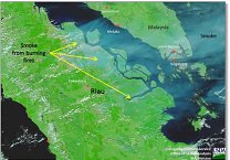 Sustainable Palm Oil:  Still a Challenging Quest