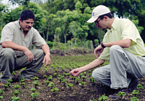 How Starbucks and Green Mountain serve up shared value